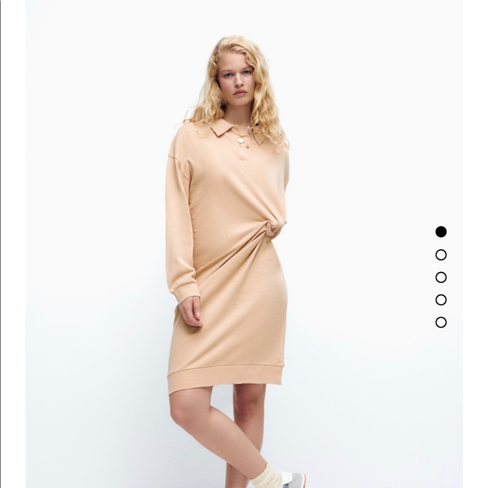 Zara Long plush dress NWT